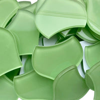 Escama de Pez Grande Verde Fresco