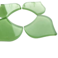 Escama de Pez Grande Verde Fresco