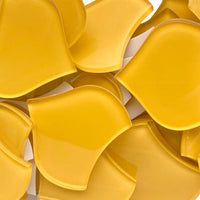 Escama de Pez Grande Maíz