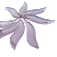 Pétalos Ondulados Rosas