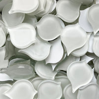 Ojo de Pavo Real Blanco Nieve