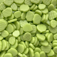 Sakura Bloesem Nieuwgroen