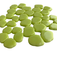 Sakura Bloesem Nieuwgroen