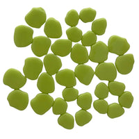 Sakura Bloesem Nieuwgroen