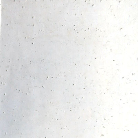 Placa de Vidrio Transparente con Textura Semillosa