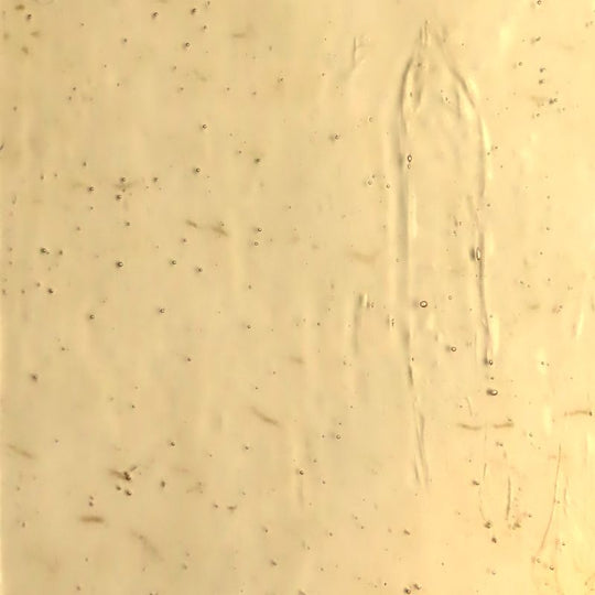 Plaque de Verre Champagne Antique