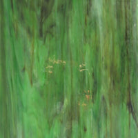 Plaque de Verre Camouflage Vaporeux