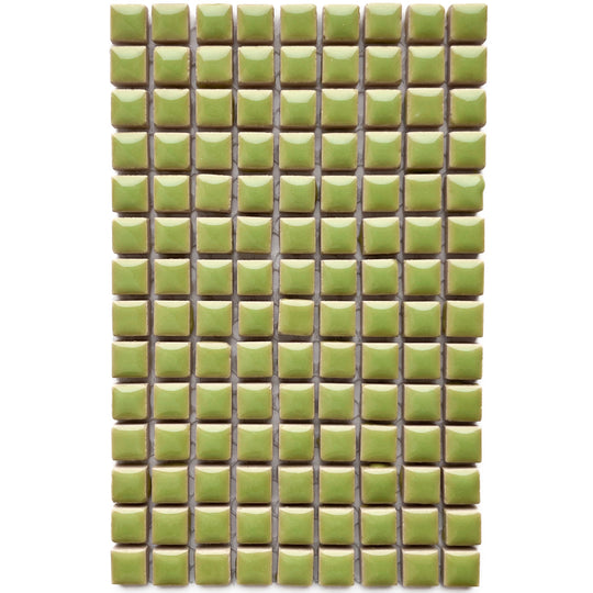 Keramiek 10mm Lichte Kiwi