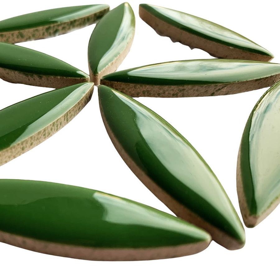 Ceramic Ellipse  Eucalyptus