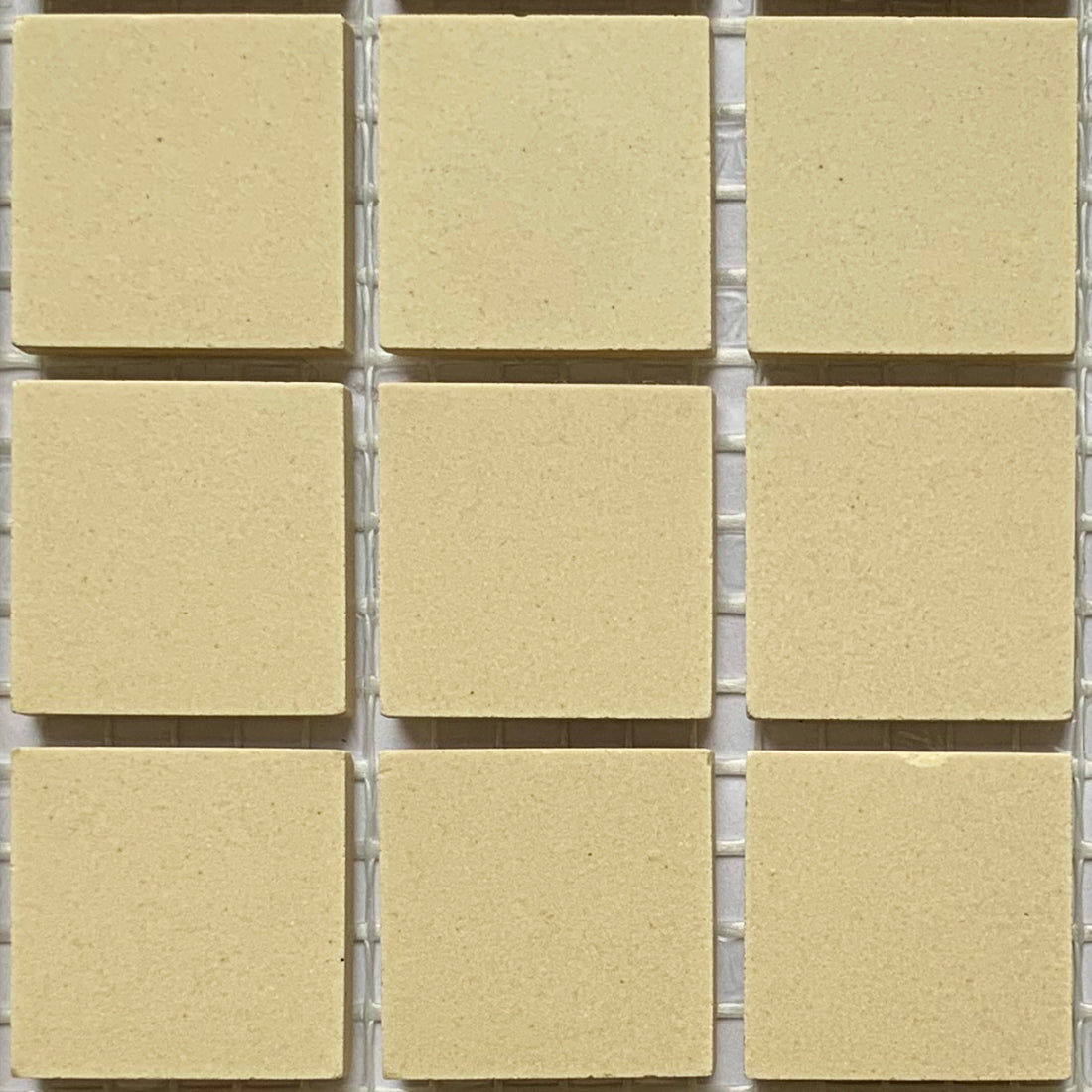 Winckelmans 50mm Ivoire