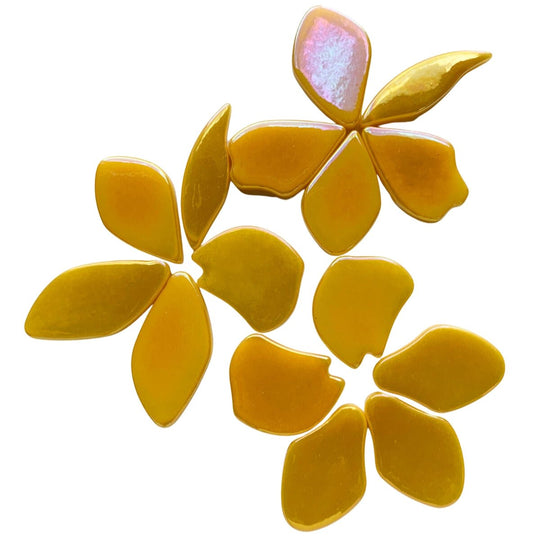 Bloemblaadjes Glas Parelmoer Warm Geel