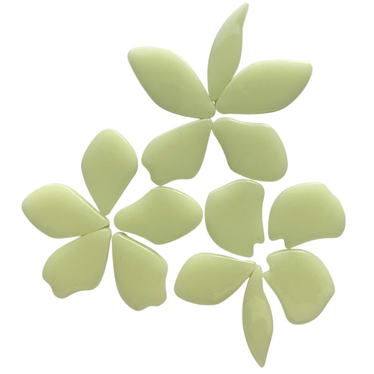 Bloemblaadjes Glas Pollen