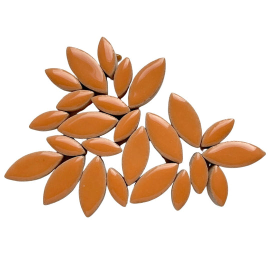 Bloemblaadjes Mandarijn