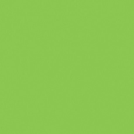 Mosa-17900 Macaw Grün 15cm