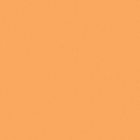 Mosa-18940 Abrikoos 15cm