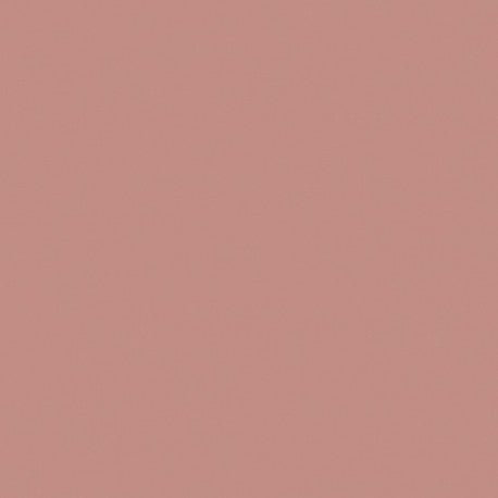 Mosa-18980 Coquillage Rose 15cm