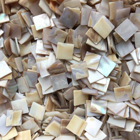 Parelmoer Schelp 15mm